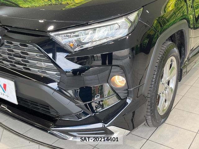 Toyota RAV4 2019-08 8283287-10