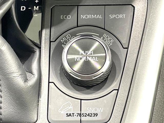Toyota RAV4 2023-07 8283460-3