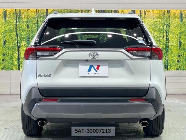 Toyota RAV4 2021-01 8284012-14