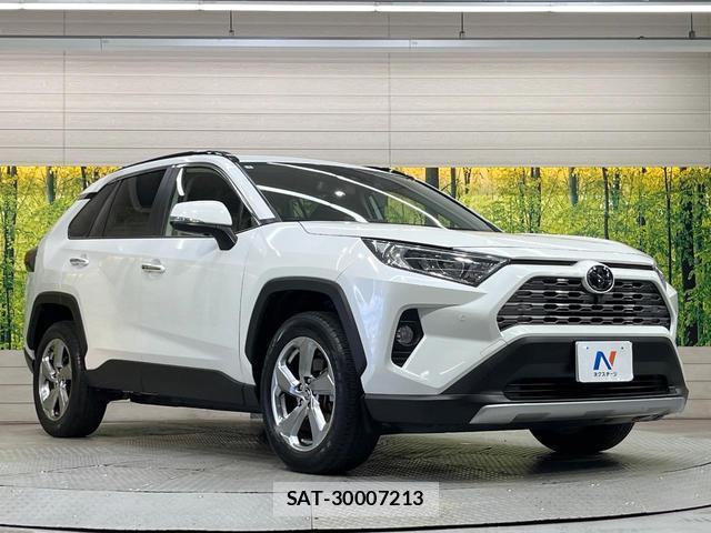 Toyota RAV4 2021-01 8284012-15