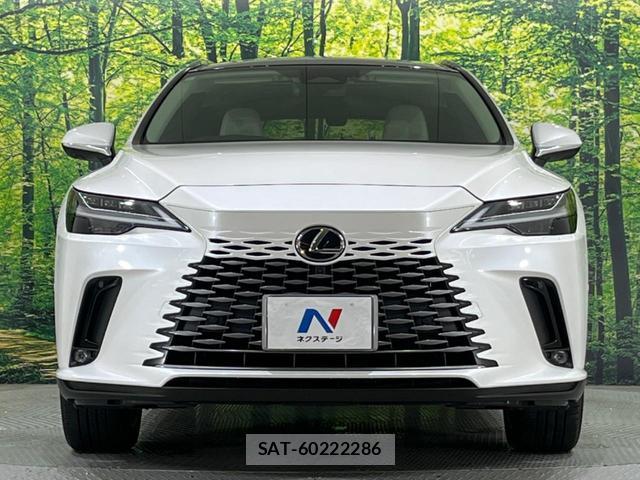 Lexus RX 2023-09 8279276-13
