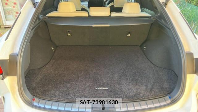 Lexus RX 2025-05 8280526-17