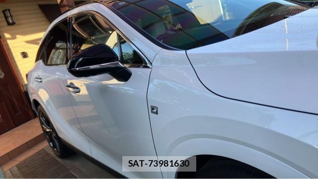 Lexus RX 2025-05 8280526-3