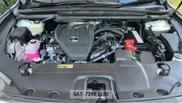 Lexus RX 2025-05 8280526-7