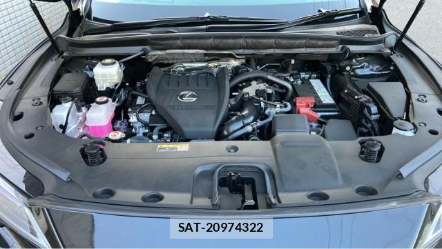 Lexus RX 2025-04 8280566-7