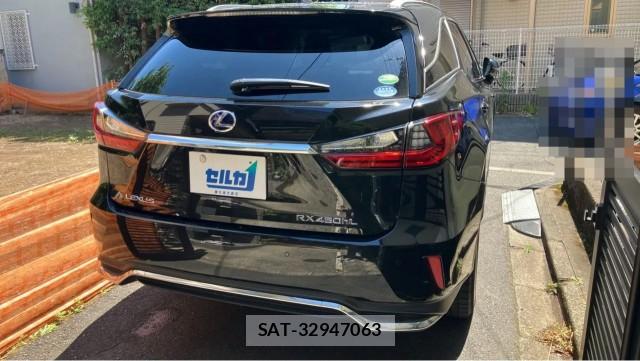 Lexus RX 2018-06 8280596-12
