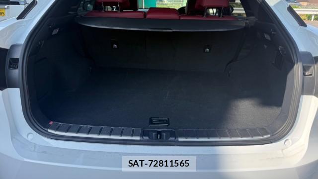 Lexus RX 2016-01 8280764-14