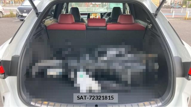 Lexus RX 2025-12 8280773-17