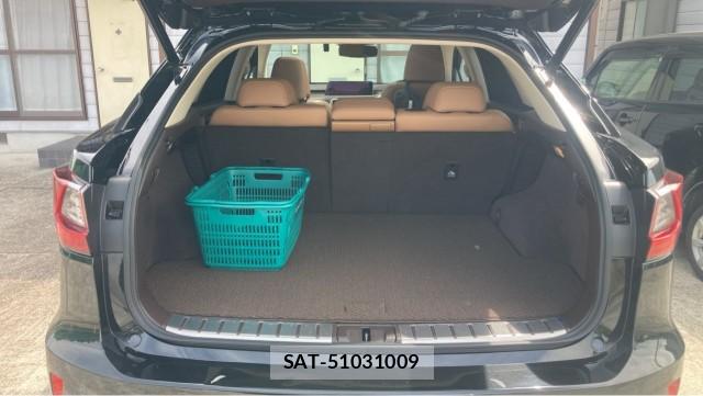 Lexus RX 2016-03 8280778-17