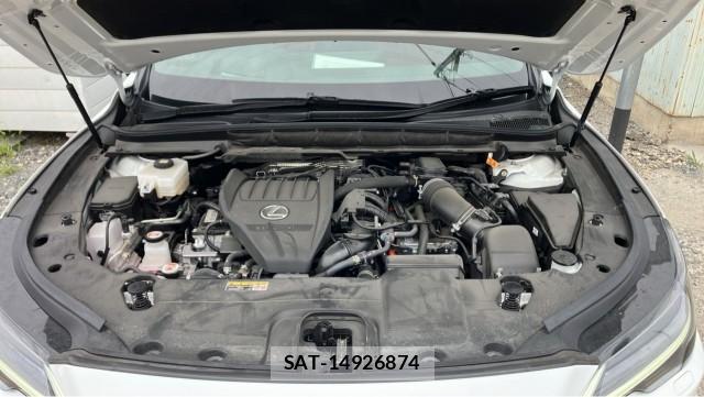Lexus RX 2024-09 8281429-7