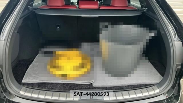 Lexus RX 2026-04 8281493-17