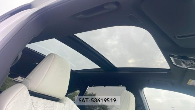 Lexus RX 2025-09 8281541-15