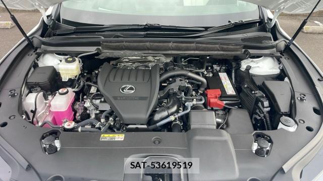 Lexus RX 2025-09 8281541-7