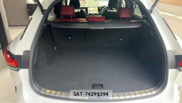 Lexus RX 2025-10 8281601-17