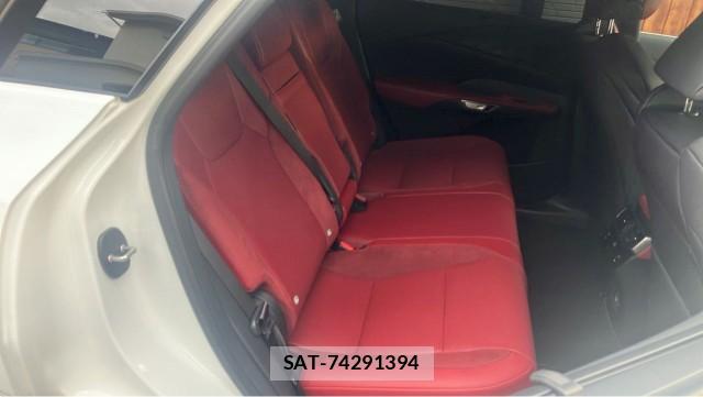 Lexus RX 2025-10 8281601-6