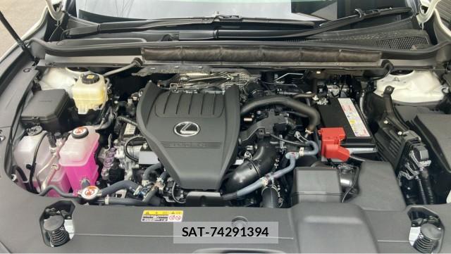 Lexus RX 2025-10 8281601-7
