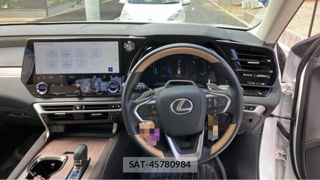 Lexus RX 2024-10 8282280-16
