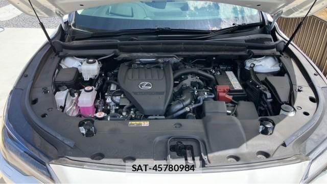 Lexus RX 2024-10 8282280-7