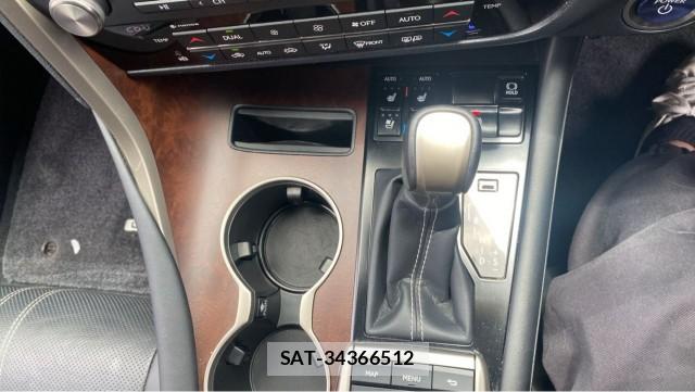 Lexus RX 2020-07 8282303-14