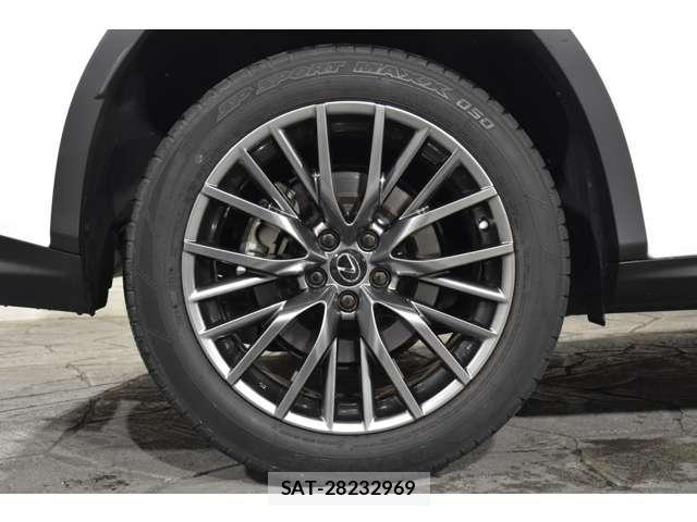 Lexus RX 2021-07 8285783-10
