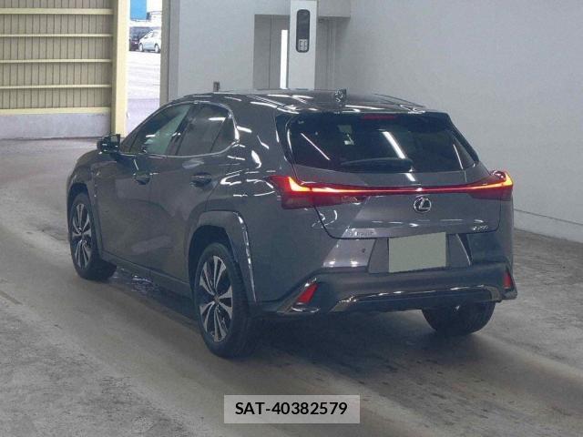 Lexus UX 2021-12 8276988-1