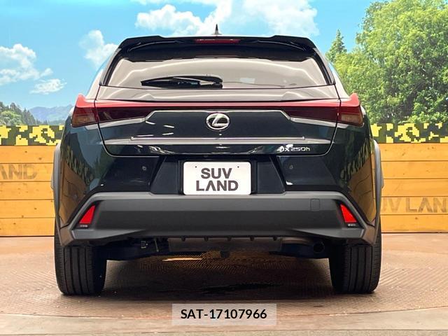 Lexus UX 2023-06 8279797-14