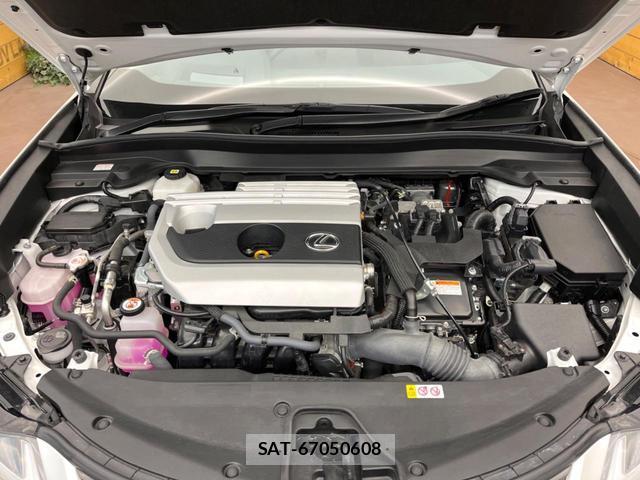 Lexus UX 2023-08 8279806-17