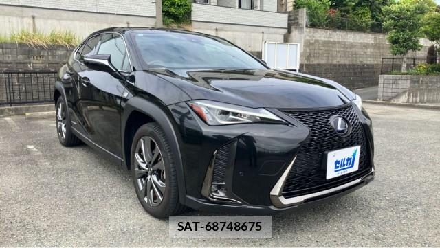 Lexus UX 2019-10 8280861-11