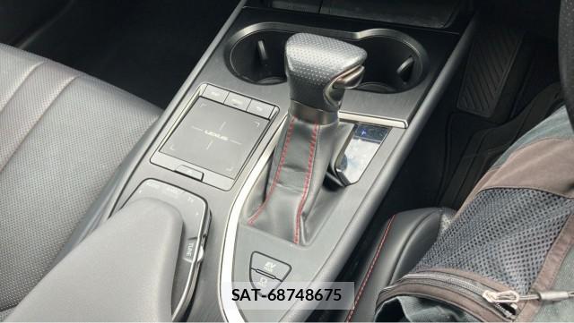 Lexus UX 2019-10 8280861-14