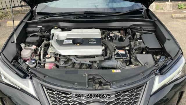 Lexus UX 2019-10 8280861-7