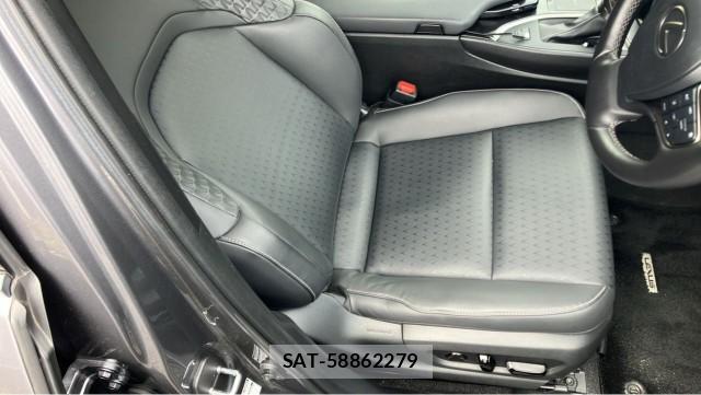 Lexus UX 2021-06 8281324-5