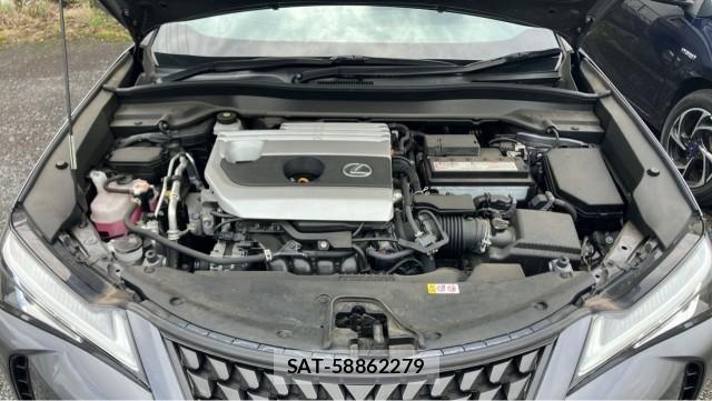 Lexus UX 2021-06 8281324-7