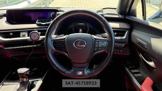 Lexus UX 2018-11 8281632-11