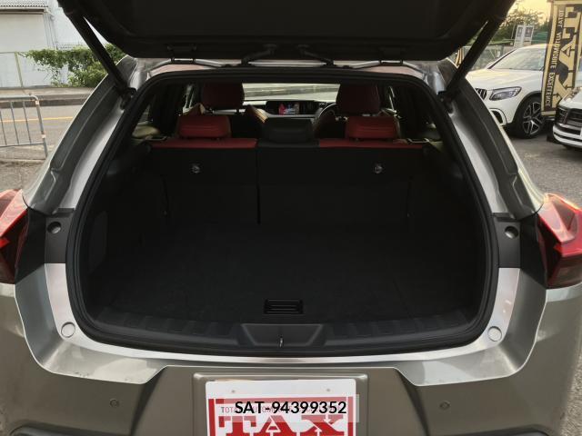 Lexus UX 2021-11 8282535-14