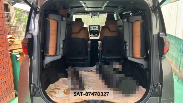 Toyota VELLFIRE 2025-06 8281680-17