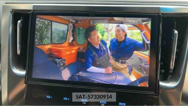 Toyota VELLFIRE 2017-01 8280492-4