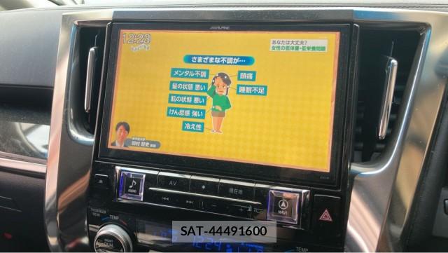 Toyota VELLFIRE 2017-10 8280969-4