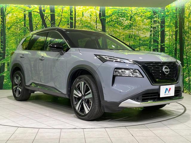 Nissan X-TRAIL 2022-11 8276704-15