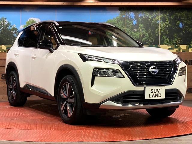 Nissan X-TRAIL 2023-11 8277643-15