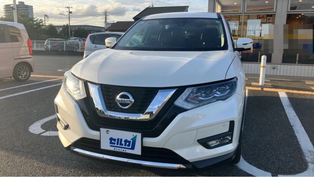 Nissan X-TRAIL 2019-03 8281657-0