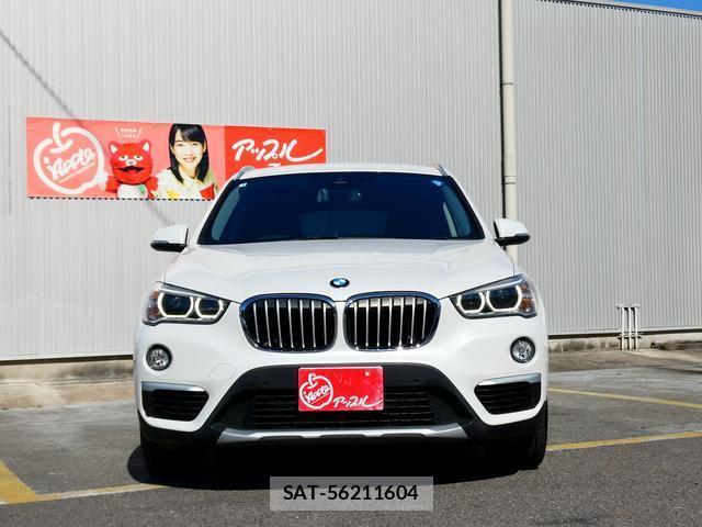 Bmw X1 2019-06 8285023-11
