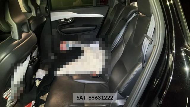 Volvo XC90 2017-09 8280862-6