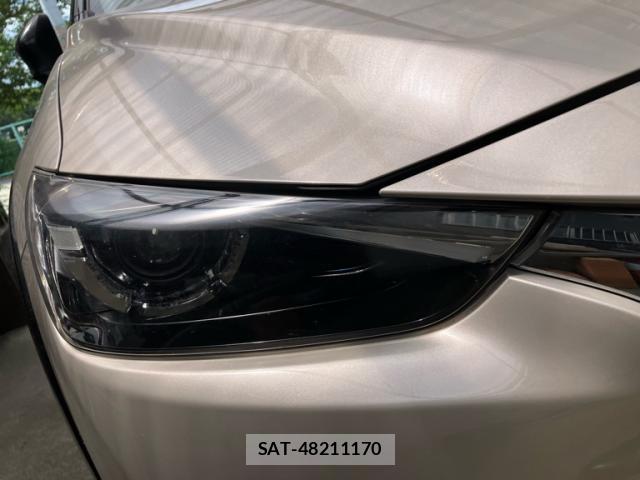 Mazda CX-3 2023-10 8328974-13