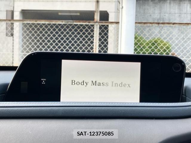Mazda CX-30 2021-04 8328385-12