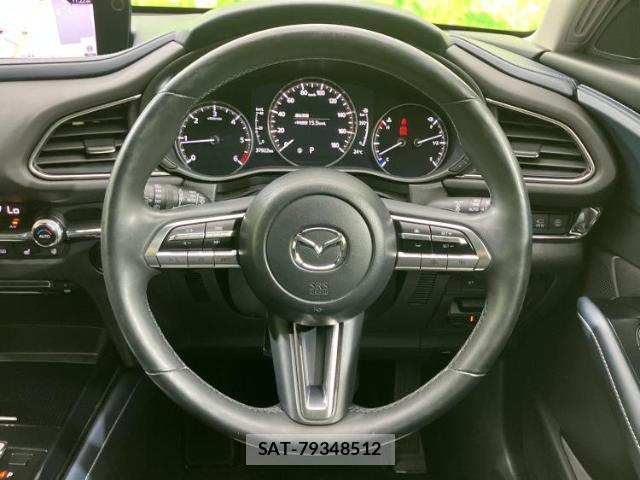 Mazda CX-30 2020-03 8329608-15