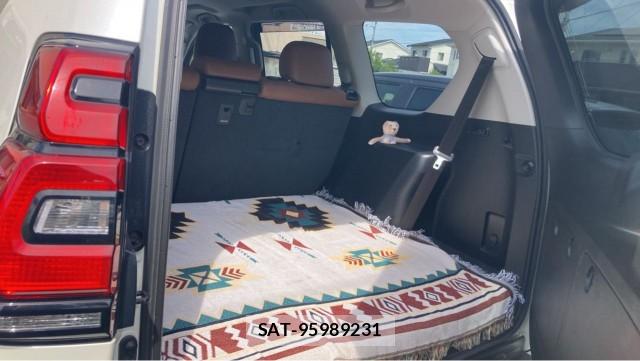 Toyota LAND CRUISER PRADO 2021-08 8329337-17