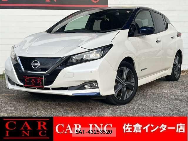 Nissan LEAF 2019-06 8328290-0
