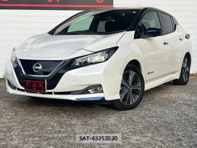 Nissan LEAF 2019-06 8328290-1
