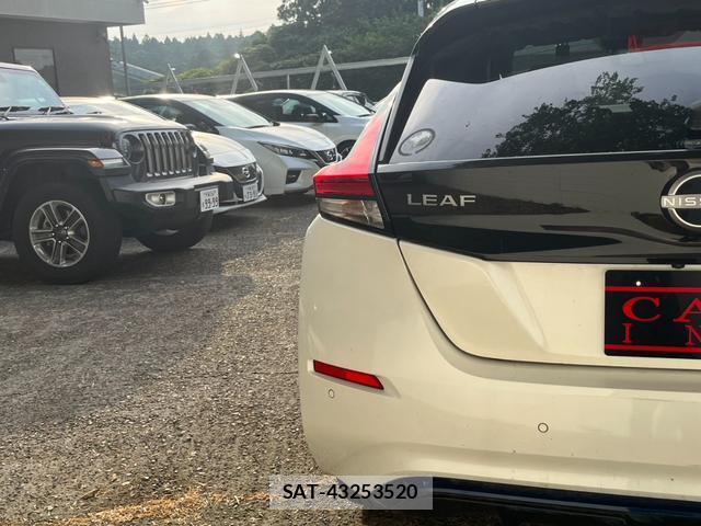 Nissan LEAF 2019-06 8328290-12