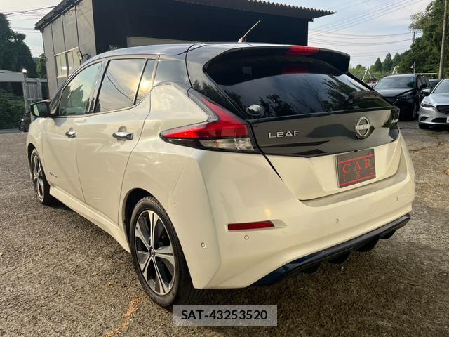Nissan LEAF 2019-06 8328290-17